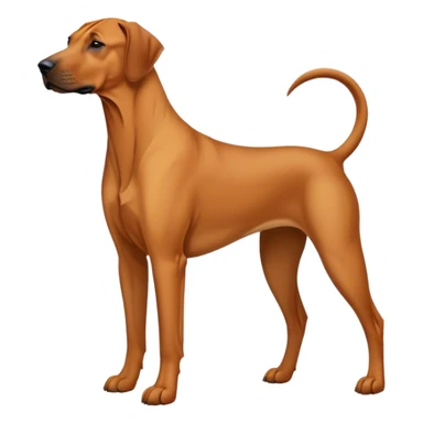 Rhodesian ridgeback Dog sticker