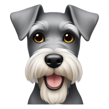 A miniature schnauzer  sticker