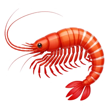 Candy shrimp sticker