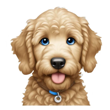 golden doodle puppy with blue eyes sticker