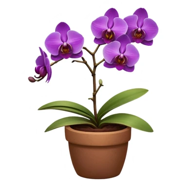 Purple Orchid in a clay pot sticker
