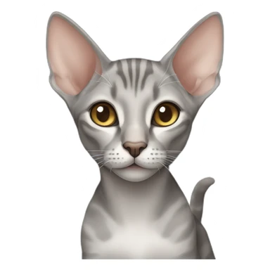grey tabby oriental shorthair cat with large ears sticker