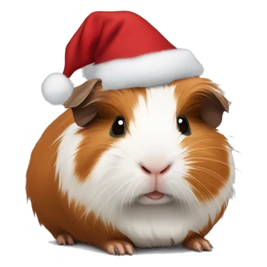 Abyssinian Guinea Pig with a Christmas hat sticker