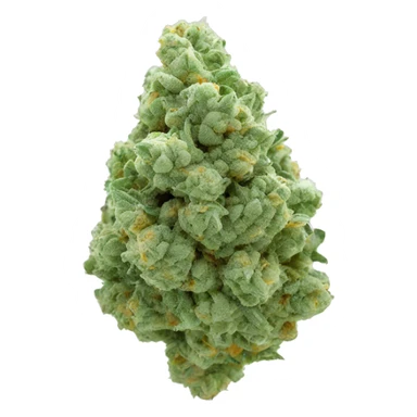 CBD nug  sticker