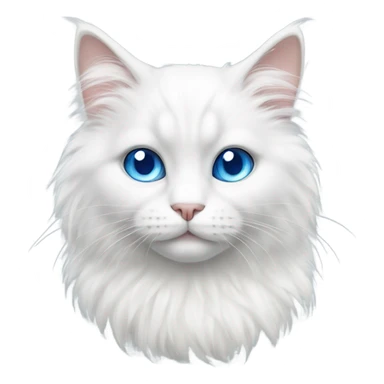 Fluffy white cat with short legs and blue eyes sticker