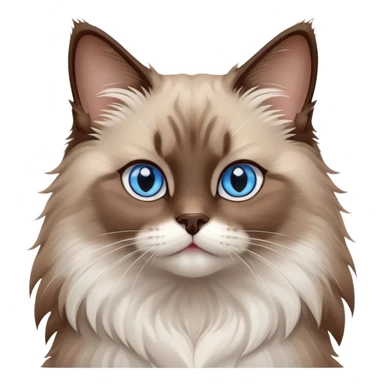 cinematic-fluffy-brown-ragdoll-cat-portrait-emoji,-head-tilted-cutely-with-big,-sparkling-blue-eyes,-soft-brown-and white-colored-fur-with-darker-points-on-the-ears,-face,-and-paws,-simplified-yet-irresistibly-adorable-features, sticker
