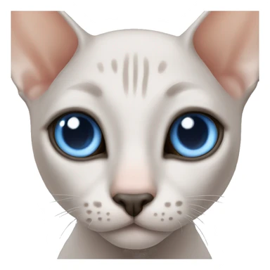 hairless cat with blue eyes sticker