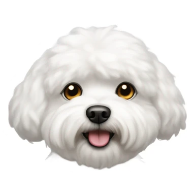 Dog bichon frise sticker
