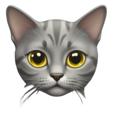 American short hair cat rubby- gray hair-yellow green eyes- The distance between the eyes is relatively far sticker