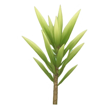 yucca sticker