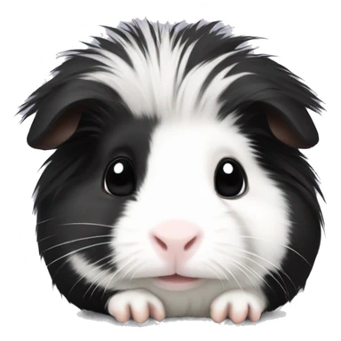 Long haired black and white guinea pig baby sticker