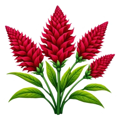 celosia plant sticker