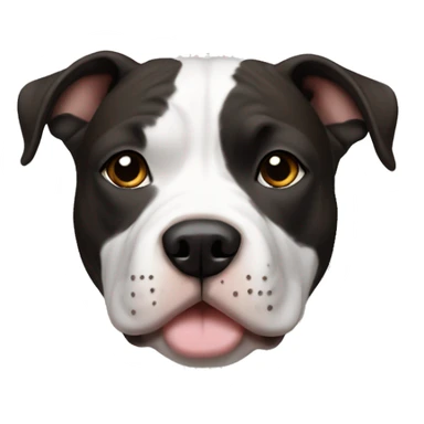 American Staffordshire Terrier, male, darkblack & white, brown eyes, more white on the breast sticker