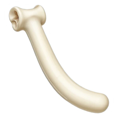 singular long bone sticker