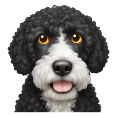 Spanish curly water dog black with white spot on its chest together with orange cat that has yellow eyes sticker