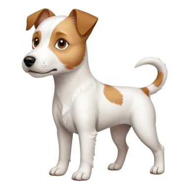 a full body white parson russell looking dog the size of a kelpie with light brown ears and a light brown patch on one eye and a large snout sticker