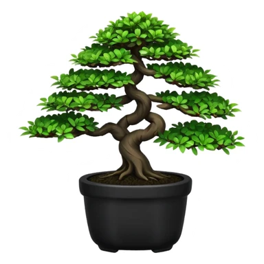 Bonsai Tree – Miniature tree in small pot, trimmed carefully, black pot sticker