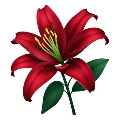 A lily flower in a dark cherry red colour with a dark green stem sticker