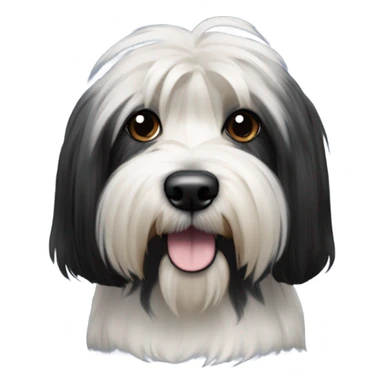 Tibetan terrier, all black fur  sticker