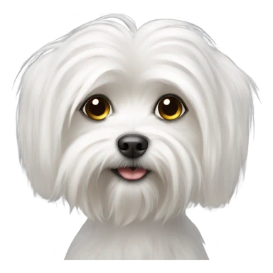 Maltese dog sticker