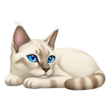 Lynx point Siamese cat with blue eyes sleeping  sticker