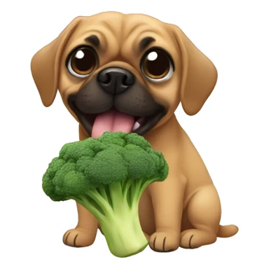 Puggle eating broccoli  sticker