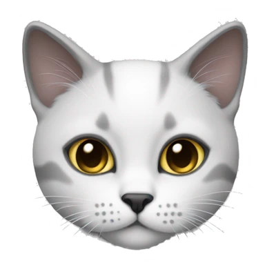 A british short hair cat With white fur and Dark grey Details  sticker