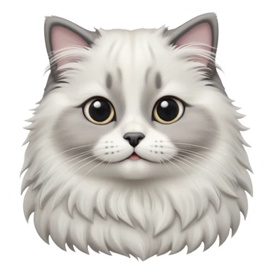 cinematic-adorable-big-eyed-fluffy-white and grey-ragdoll-cat-portrait-emoji,-head-tilted-playfully-with-a-sweet-expression,-fluffy-grey seal colour with white-fur,-simplified-yet-irresistibly-cute-features-with-large,-expression, sticker