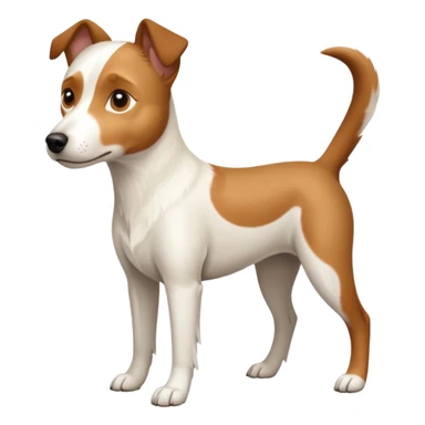 a full body white parson russell looking dog the size of a kelpie with light brown ears and a light brown patch on one eye and a large snout sticker