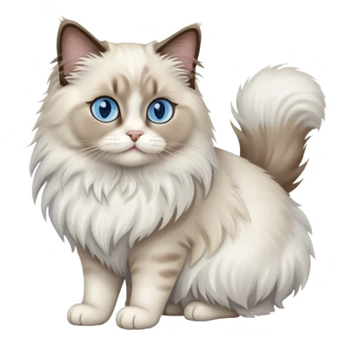 Ragdoll cat sitting full body sticker
