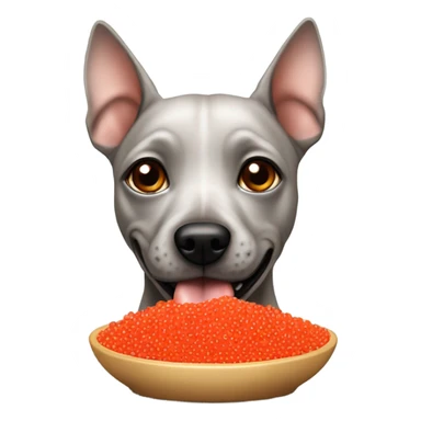American Hairless Terrier eating red caviar  sticker