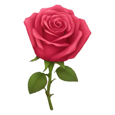 Lingerie rose sticker