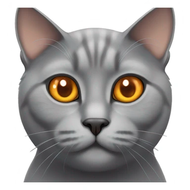 british grey cat orange eyes sticker