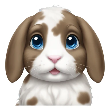 blue eyed brown and white spotted holland lop bunny sticker