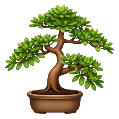 Plant with tubular leaves (Crassula Ovata Golum) with the appearence of a bonsai sticker