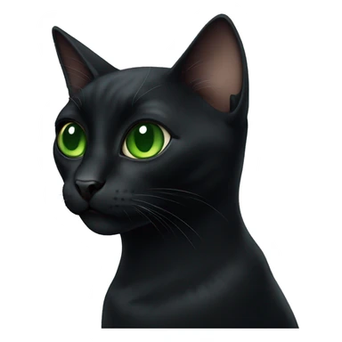 Black cat with big green eyes  sticker