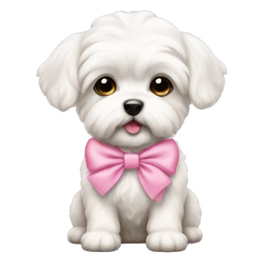 Schichon puppy pink bow sticker