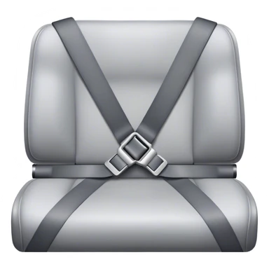 plane seat belt sticker