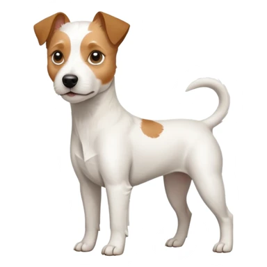 a full body white parson russell looking dog the size of a kelpie with light brown ears and a light brown patch on one eye and a large snout sticker
