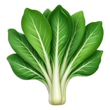 bok choy, fresh and crisp look sticker