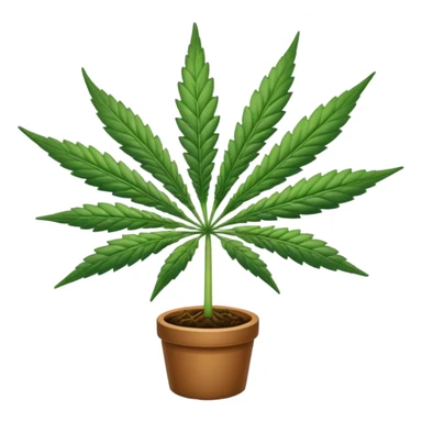 Cannabis sticker