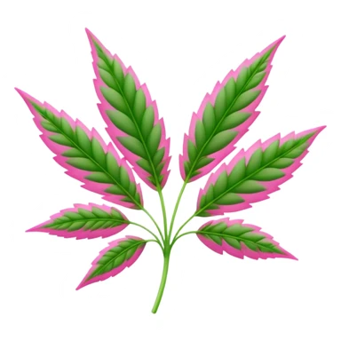 Pink weed sticker