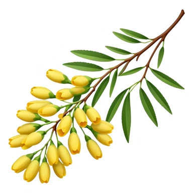 A delicate acacia flower with soft petals and vibrant colors, blooming on a slender branch with green leaves sticker