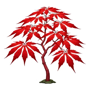 japanese maple sticker