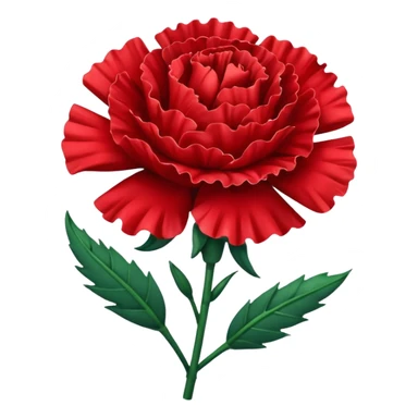 Red carnation sticker
