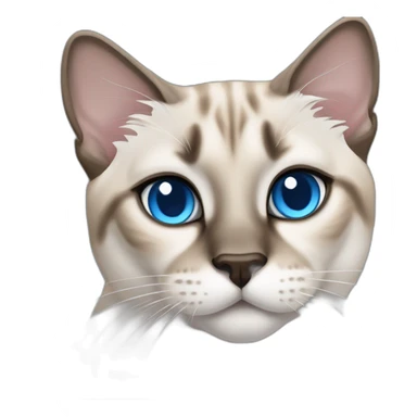 lynx-point-siamese-cat-blue-eyes sticker