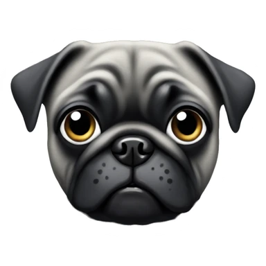 black pug with graying face sticker