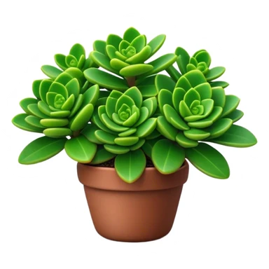 Cinematic Realistic Crassula Emoji, Compact and vibrant, with small, fleshy leaves arranged in thick, rounded clusters. The deep green hue of the leaves radiates calm, while their structured growth speaks of endurance. Soft glowing outline, capturing the essence of perseverance and tranquility in a crassula plant! sticker