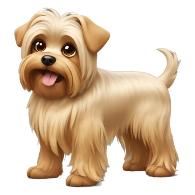 dog yorkshire with 🎀 sticker