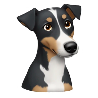 blue heeler mix dog with brown eyes and floppy flopped ears brown cheeks and brown dot eyebrows and black with white snout, chest and up theface sticker